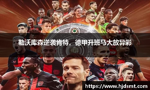 B·体育(B-sports)官方网站